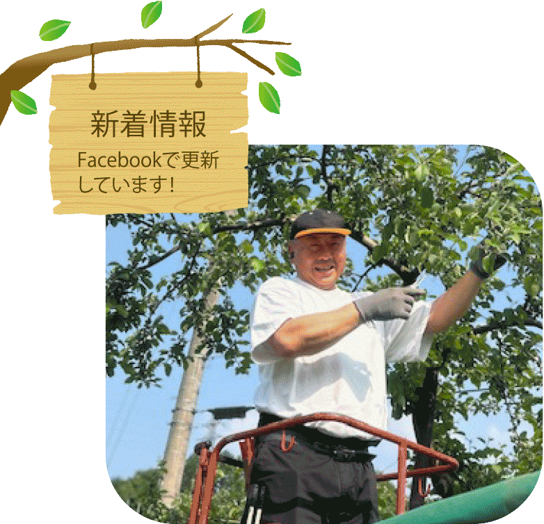 長野県の塩崎農園